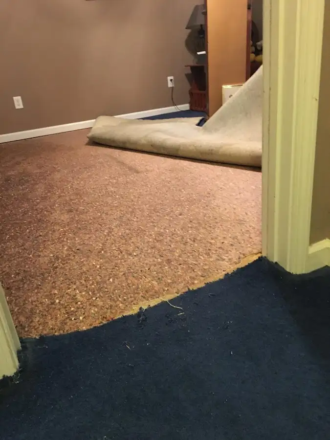Carpet pad removal revealing water damage during Drying & Dehumidification in Richland