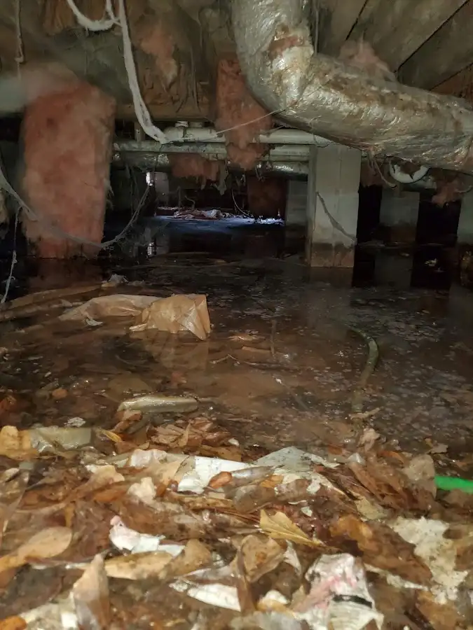 Crawl space flood assessment for Leak Detection & Repair in Richland
